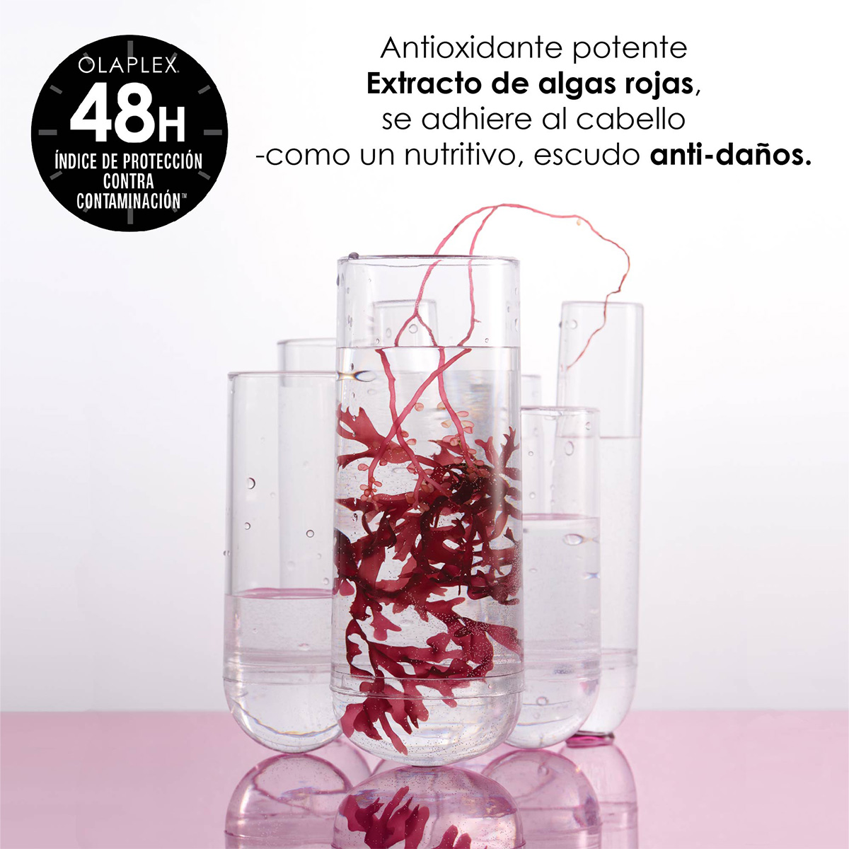 BOND PROTECTOR NO. 9 (SUERO NUTRITIVO PARA CABELLO)